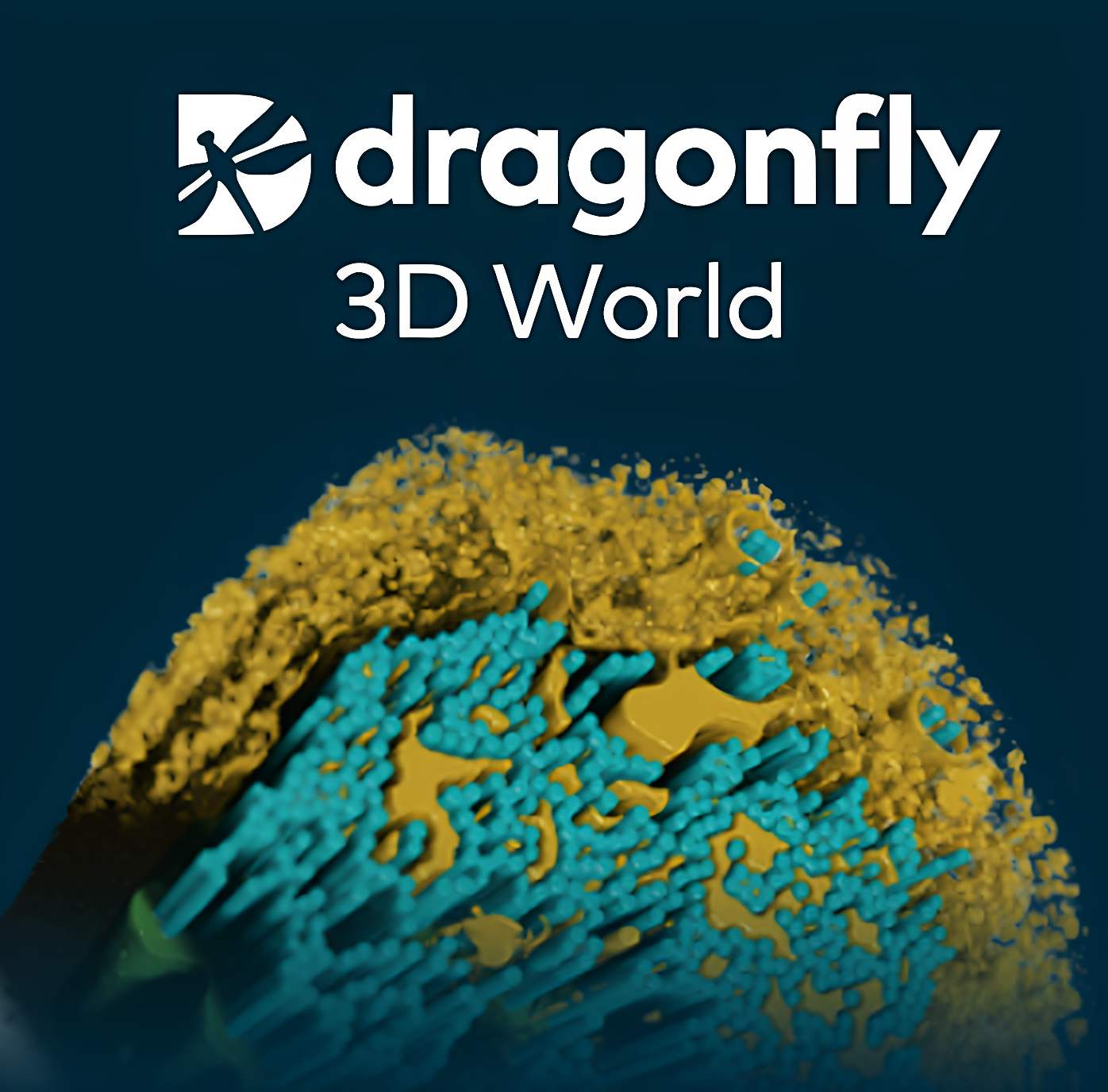 Dragonfly 3D World 2025.1